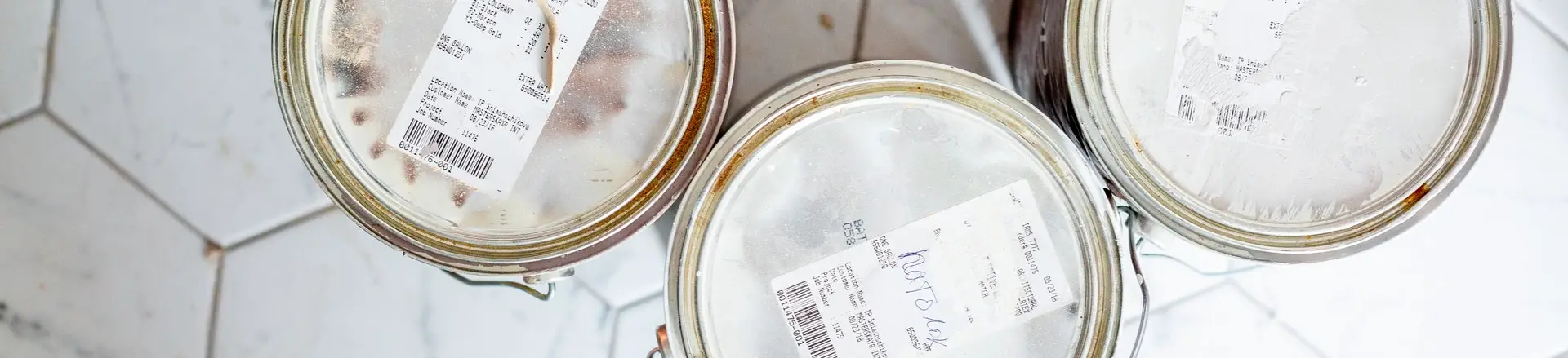 does paint thinner kill bedbugs?