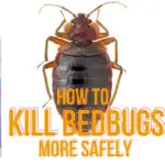 how to use cimexa for bedbugs